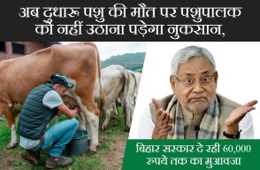 अब दुधारू पशु की मौत पर पशुपालक को नहीं उठाना पड़ेगा नुकसान, बिहार सरकार दे रही 60,000 रुपये तक का मुआवजा, आइए Khetivyapar पर जानें